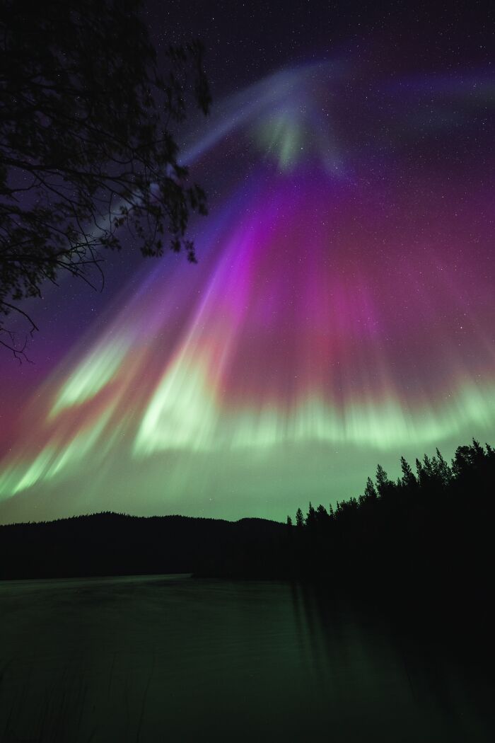 Northern Lights glowing green and purple over a dark forest and lake under a starry night sky.