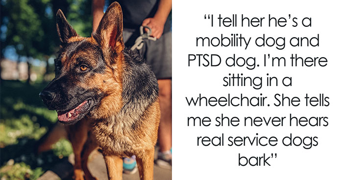 Woman Files A Complaint About Disney Security Shaming Her For Bringing Her Service Dog, They Respond