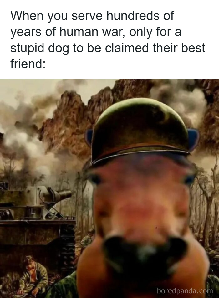 History meme showing a dog in a soldier helmet with a tank and soldiers in a war setting background.