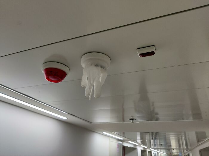 Ceiling fire alarm with disposable gloves hanging instead of proper maintenance, a funny example of people not even trying at their job.