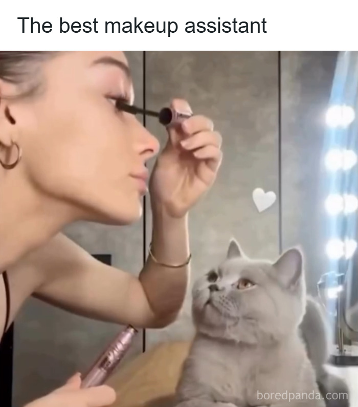 Woman applying mascara while her cat watches, capturing makeup and diva life moments with fashion flair.
