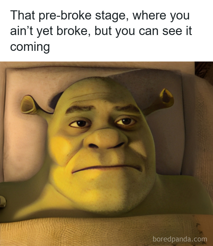 Shrek lying in bed with a tired expression, illustrating a random meme about the pre-broke financial stage.