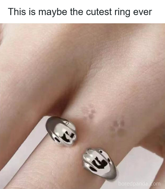 Silver ring designed to look like a cat’s paw print, featured in a collection of random memes about unique experiences.