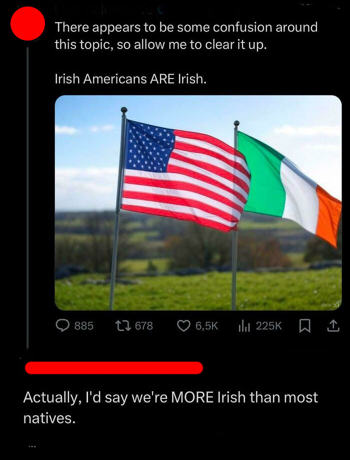 Screenshot of a social media post with American and Irish flags, highlighting a dumb comment about Irish Americans.