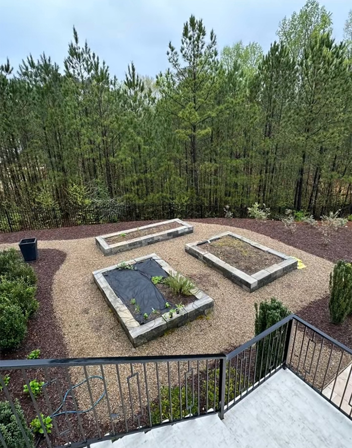 Backyard garden with raised beds and no trees after neighbor bulldozed all trees, sparking tree law debate.