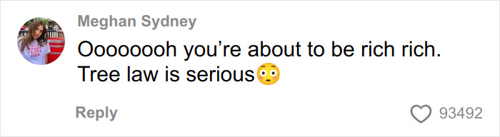 Social media comment by a woman emphasizing that tree law is serious, with an astonished emoji and a high number of likes.