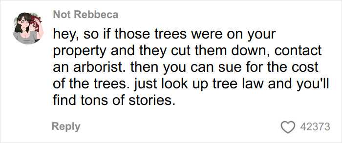 Comment explaining tree law advice about suing for cutting down trees on private property, sparking debate.