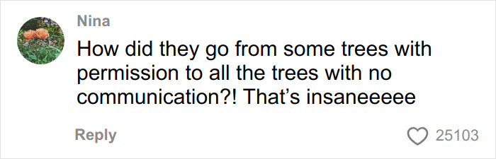 Comment from Nina expressing frustration about trees being removed without communication, highlighting the tree law issue.