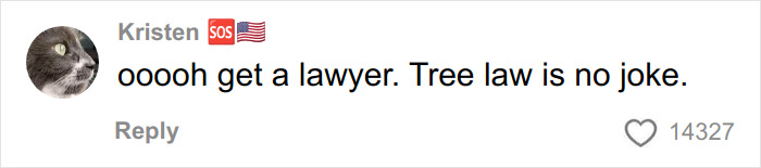 Comment saying tree law is no joke, highlighting a woman&rsquo;s reaction in a viral debate about tree law issues.