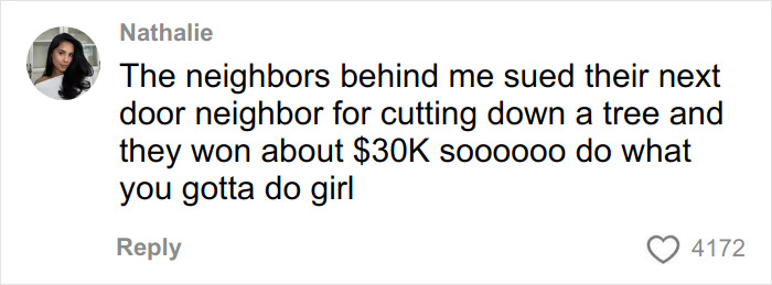 Social media comment about neighbors suing over tree cutting, highlighting conflict in tree law and property disputes.