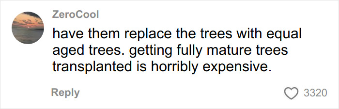 Comment from user ZeroCool about replacing trees with equal aged ones after bulldozing, highlighting tree law debate.