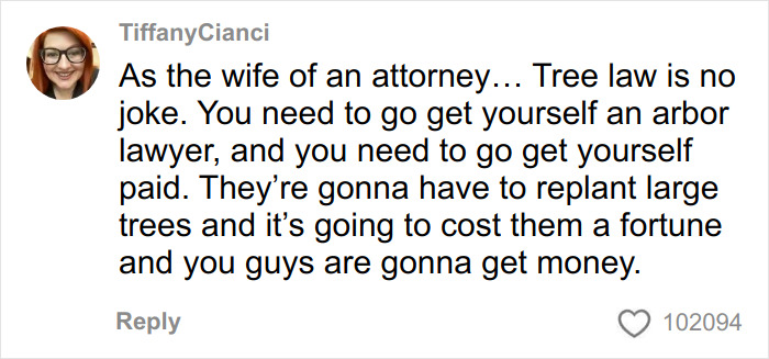 Screenshot of a woman&rsquo;s comment discussing tree law and advising to hire an arbor lawyer for bulldozed trees dispute.