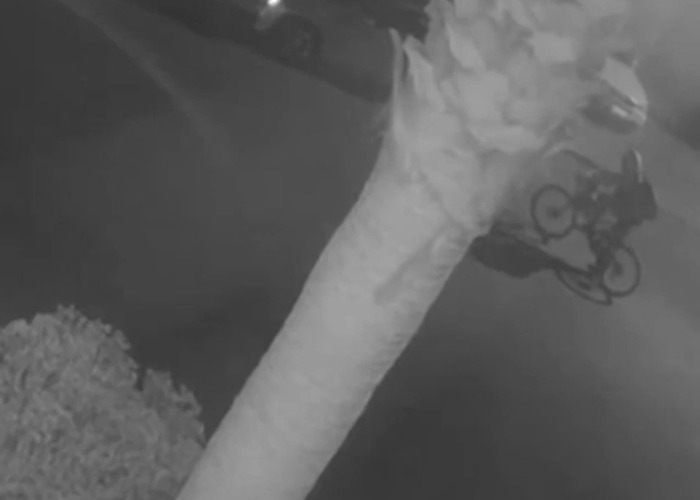 Close-up of a person&rsquo;s arm reaching out at night as a cyclist rides by in the background, related to toxic tech CEO incident.
