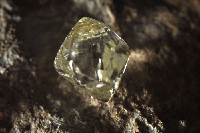 Close-up of a rare transparent crystal on rough rock surface illustrating true facts that make others question reality.