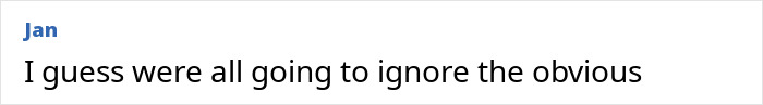 Screenshot of a comment by user Jan stating I guess were all going to ignore the obvious in a plain text format.