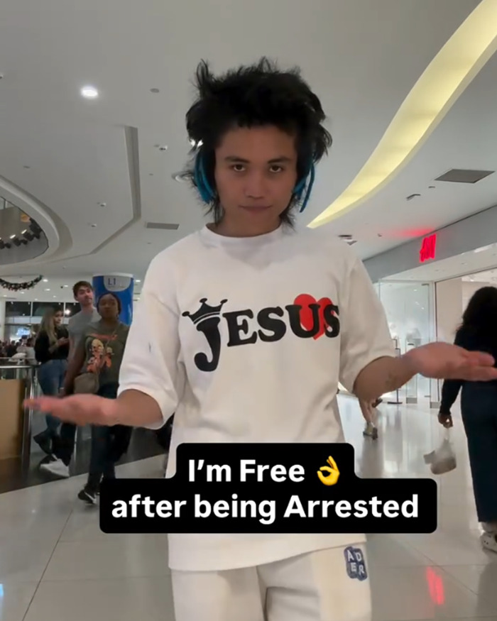 Young fan who attacked Ariana Grande at premiere outs himself online, facing swift backlash in a busy mall setting.