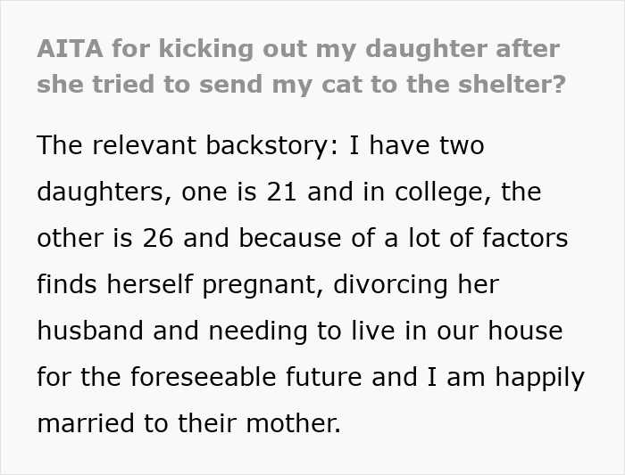 Pregnant Daughter Decides To Put Dad&rsquo;s Cat In A Shelter Because Of Her Baby&rsquo;s Safety, Gets Kicked Out