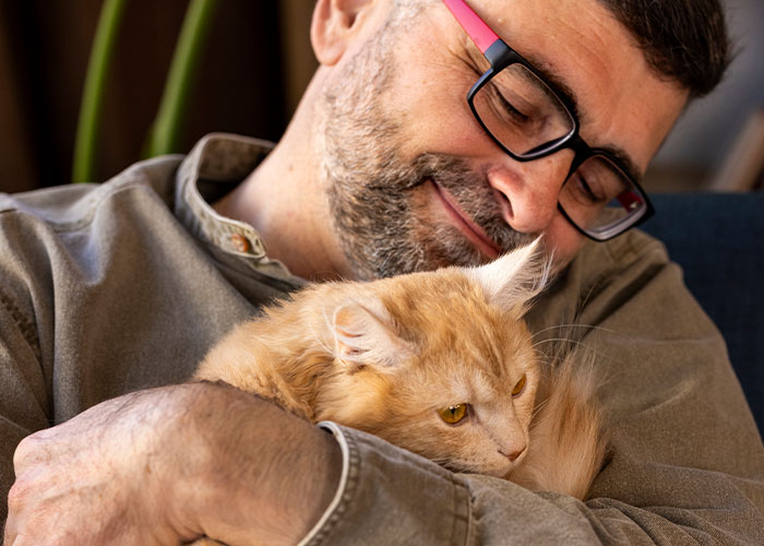 Pregnant Daughter Decides To Put Dad&rsquo;s Cat In A Shelter Because Of Her Baby&rsquo;s Safety, Gets Kicked Out