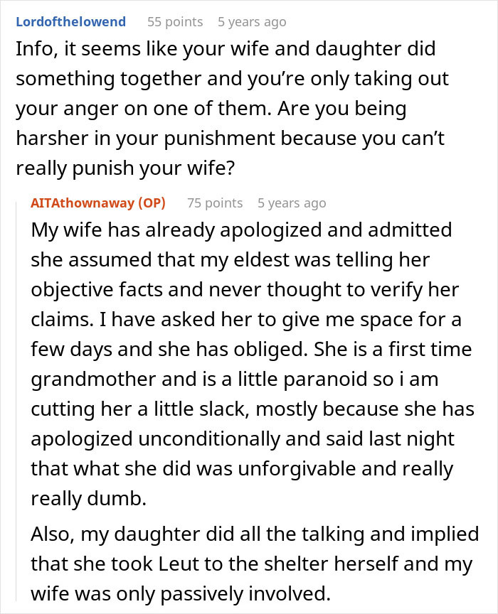 Pregnant Daughter Decides To Put Dad&rsquo;s Cat In A Shelter Because Of Her Baby&rsquo;s Safety, Gets Kicked Out