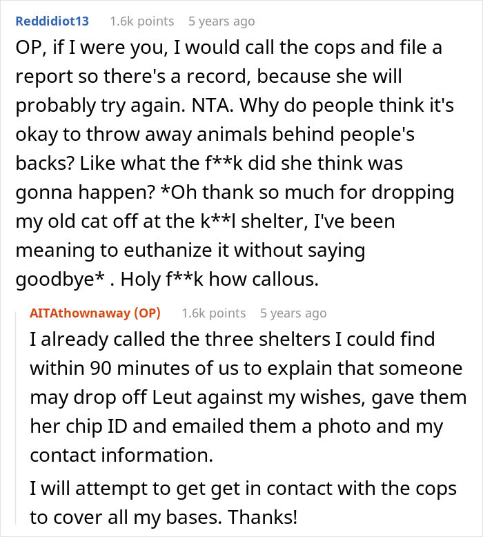 Pregnant Daughter Decides To Put Dad&rsquo;s Cat In A Shelter Because Of Her Baby&rsquo;s Safety, Gets Kicked Out