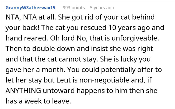 Pregnant Daughter Decides To Put Dad&rsquo;s Cat In A Shelter Because Of Her Baby&rsquo;s Safety, Gets Kicked Out