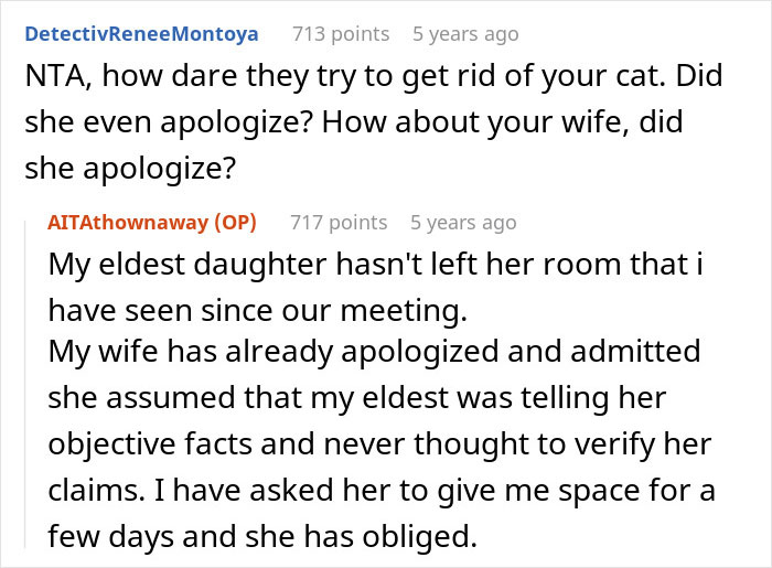 Pregnant Daughter Decides To Put Dad&rsquo;s Cat In A Shelter Because Of Her Baby&rsquo;s Safety, Gets Kicked Out