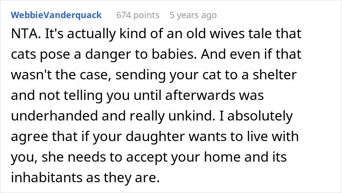 Pregnant Daughter Decides To Put Dad&rsquo;s Cat In A Shelter Because Of Her Baby&rsquo;s Safety, Gets Kicked Out