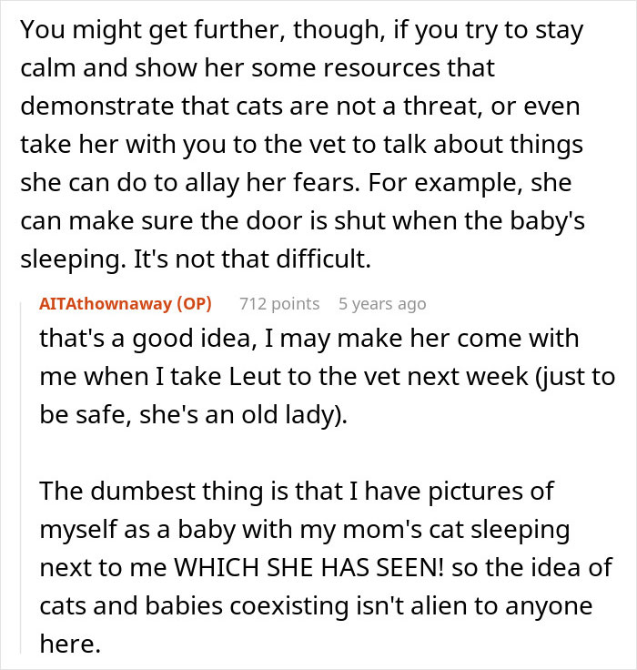 Pregnant Daughter Decides To Put Dad&rsquo;s Cat In A Shelter Because Of Her Baby&rsquo;s Safety, Gets Kicked Out