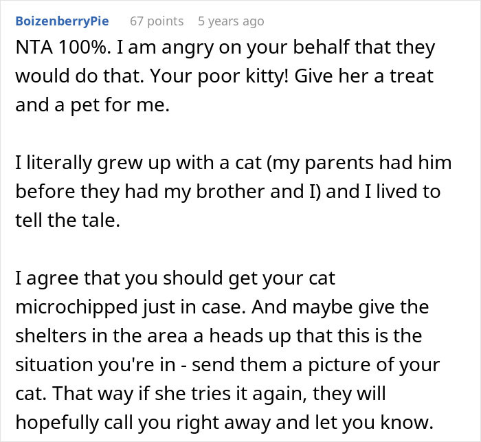 Pregnant Daughter Decides To Put Dad&rsquo;s Cat In A Shelter Because Of Her Baby&rsquo;s Safety, Gets Kicked Out