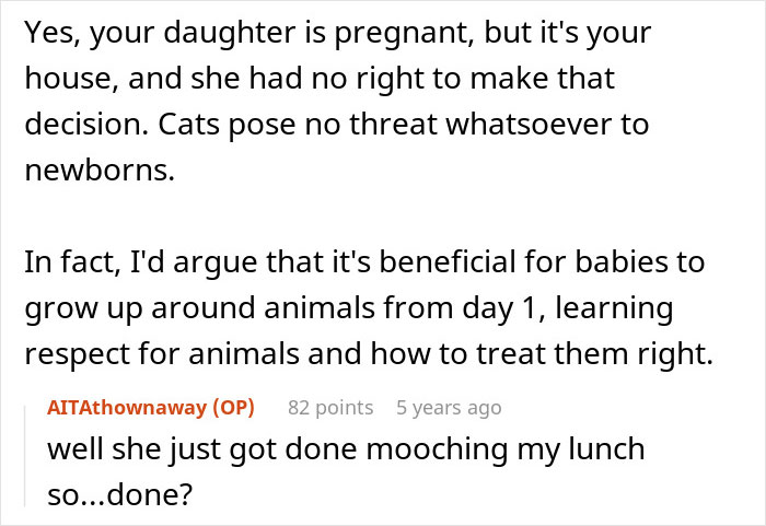Pregnant Daughter Decides To Put Dad&rsquo;s Cat In A Shelter Because Of Her Baby&rsquo;s Safety, Gets Kicked Out