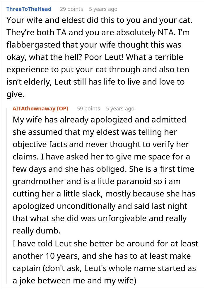 Pregnant Daughter Decides To Put Dad&rsquo;s Cat In A Shelter Because Of Her Baby&rsquo;s Safety, Gets Kicked Out