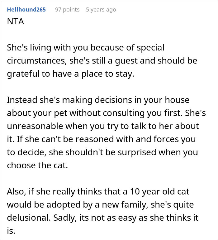 Pregnant Daughter Decides To Put Dad&rsquo;s Cat In A Shelter Because Of Her Baby&rsquo;s Safety, Gets Kicked Out