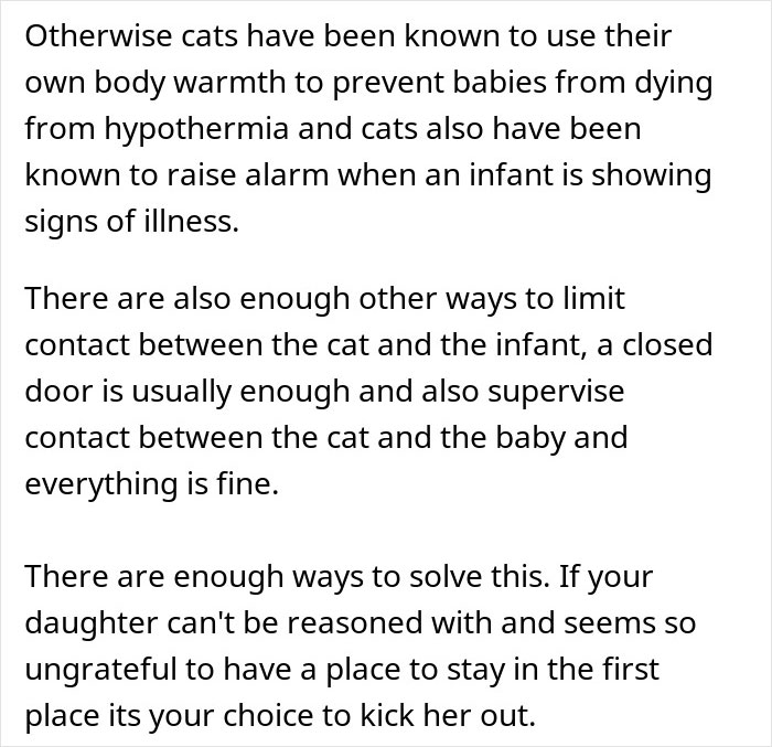 Pregnant Daughter Decides To Put Dad&rsquo;s Cat In A Shelter Because Of Her Baby&rsquo;s Safety, Gets Kicked Out
