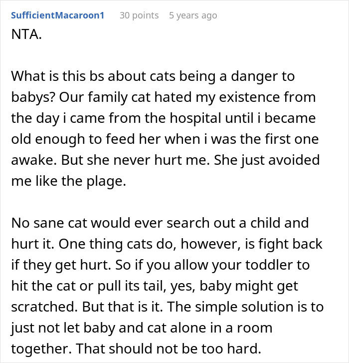 Pregnant Daughter Decides To Put Dad&rsquo;s Cat In A Shelter Because Of Her Baby&rsquo;s Safety, Gets Kicked Out