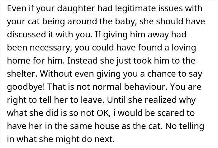 Pregnant Daughter Decides To Put Dad&rsquo;s Cat In A Shelter Because Of Her Baby&rsquo;s Safety, Gets Kicked Out