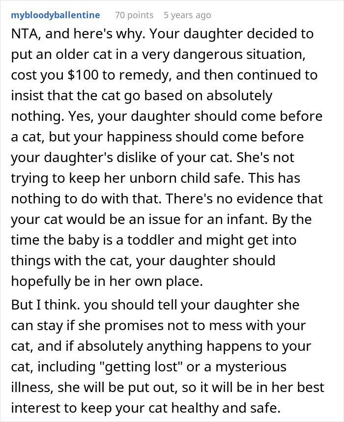 Pregnant Daughter Decides To Put Dad&rsquo;s Cat In A Shelter Because Of Her Baby&rsquo;s Safety, Gets Kicked Out
