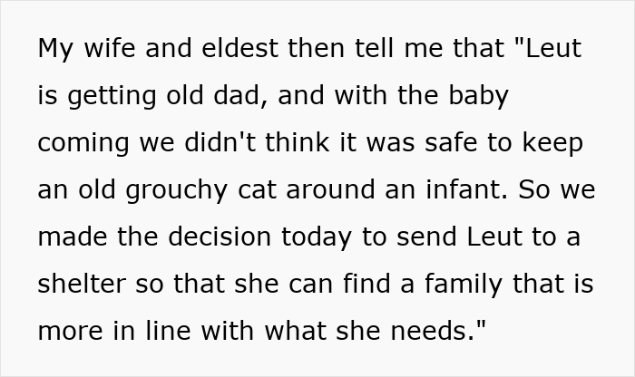 Pregnant Daughter Decides To Put Dad&rsquo;s Cat In A Shelter Because Of Her Baby&rsquo;s Safety, Gets Kicked Out