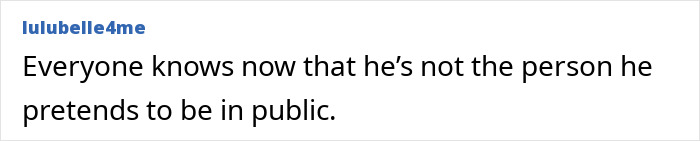 Screenshot of a comment discussing public perception amid Alison Sudol and David Harbour backlash controversy.