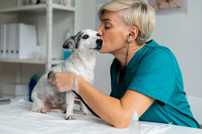 Veterinarian in teal scrubs using stethoscope on small dog during a pet checkup in a clinic setting.