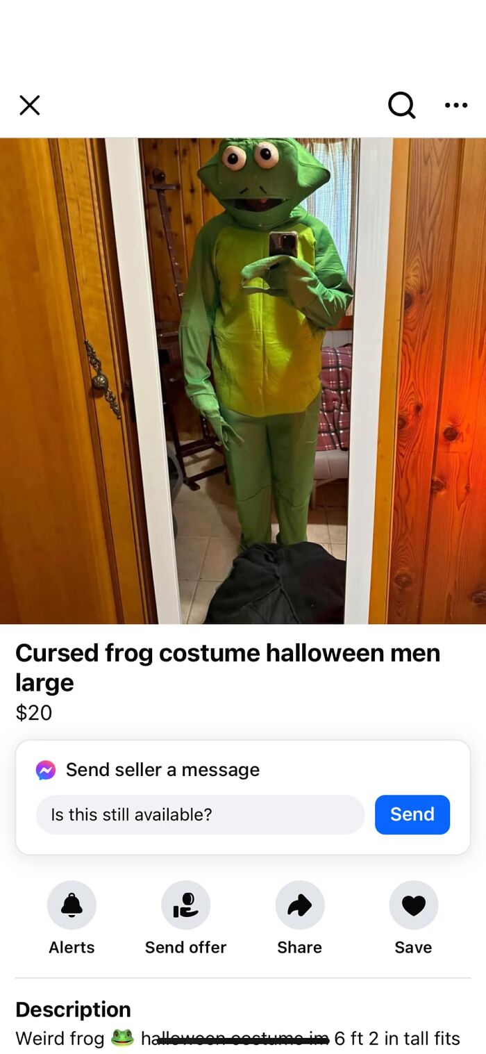 Person wearing a cursed frog costume taking a mirror selfie, an unhinged FB Marketplace post with Halloween outfit.