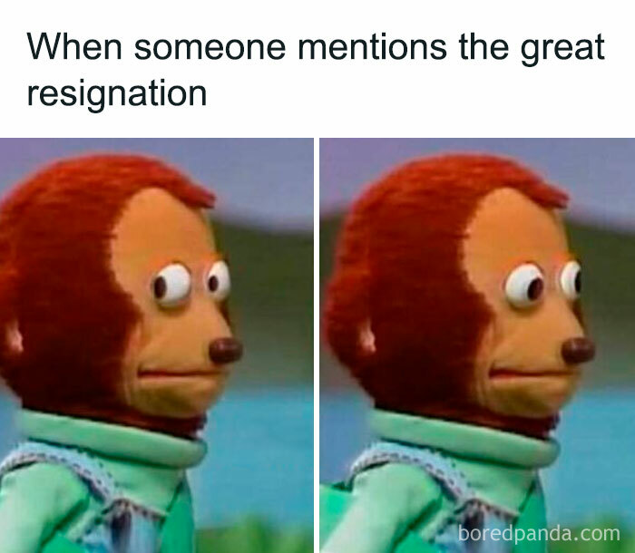 Meme showing a puppet looking sideways awkwardly, capturing the chaos of working in human resources.