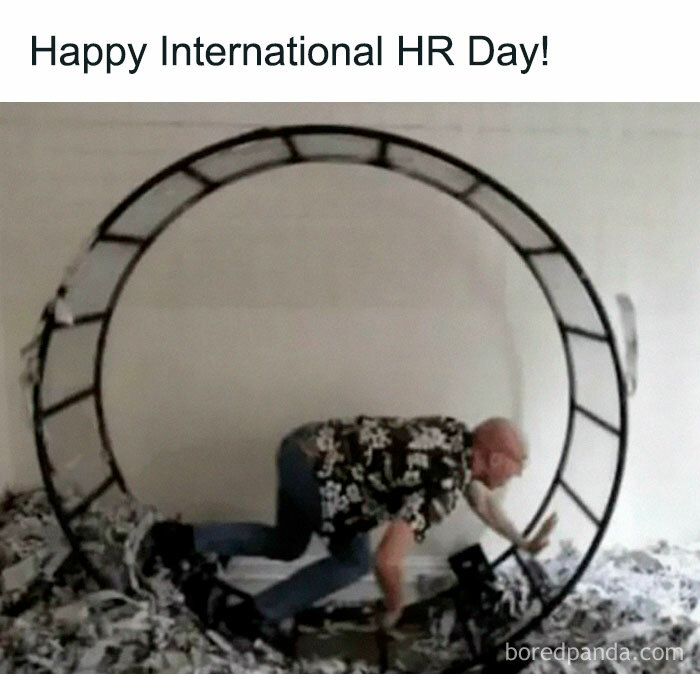 Man in a hamster wheel surrounded by shredded paper, illustrating the chaos of working in human resources.
