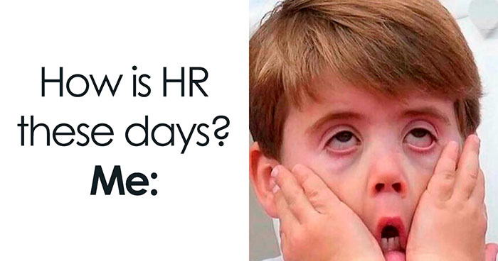 50 Memes That Sum Up The Chaos Of Working In Human Resources
