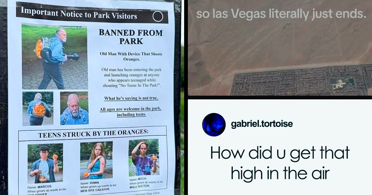 50 Funny Posts To See Instead Of Doing Literally Anything Else | Bored ...