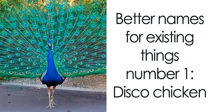 If You’re Feeling Heavy Today, Here Are 50 Adorable And Lighthearted Animal Memes