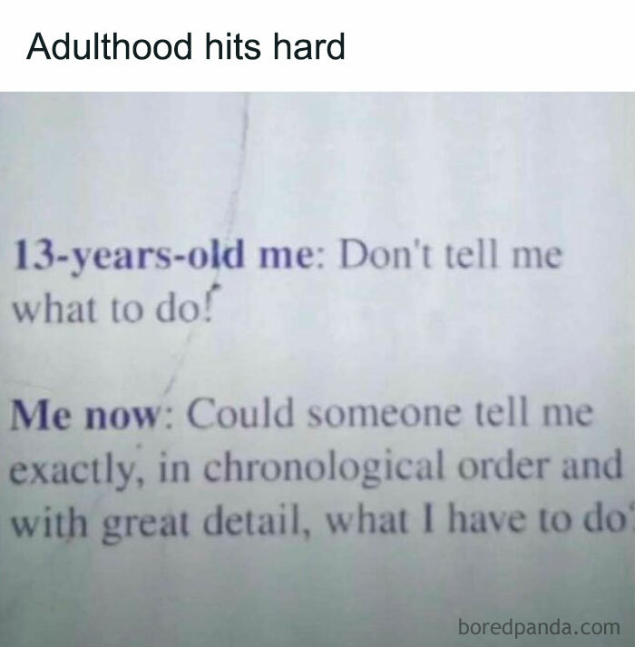 Meme showing contrast between a rebellious 13-year-old and an adult needing detailed instructions, featured in laughgorithm memes.