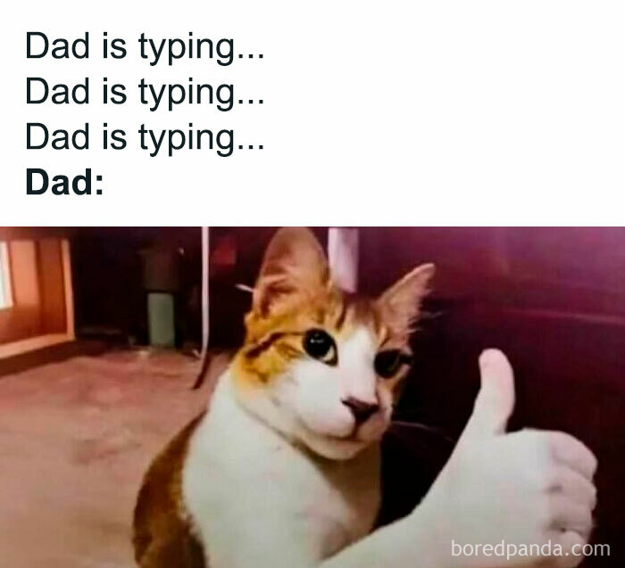 Cat giving a thumbs up after a dad types a message, funny meme related to laughgorithm and perfect memes.