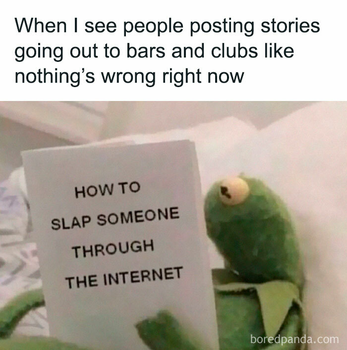 Kermit meme reading a book about slapping someone through the internet, funny meme to scroll instead of doing anything else
