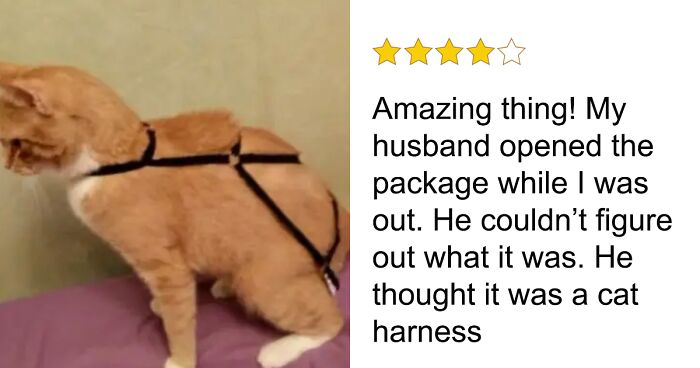 “Funny Reviews”: 60 Times People Decided To Be Comedians While Leaving Reviews