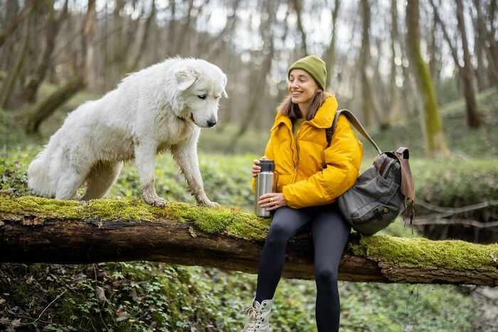 A dog mom in a yellow jacket enjoys a forest hike with her large white dog perched on a mossy log nearby.